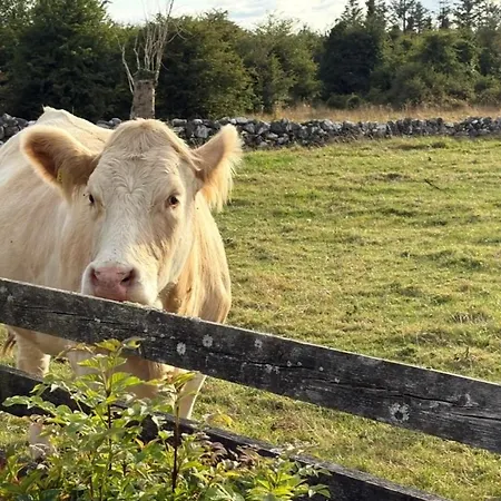 Ballyforan 5br Galway Casa vacanze Roscommon