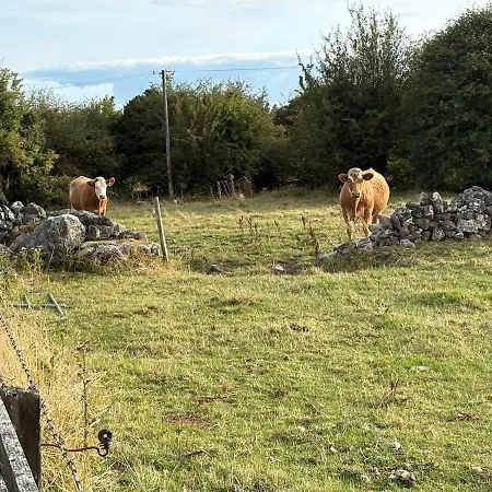 Ballyforan 5br Galway Roscommon