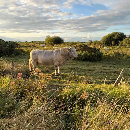 Tatil Evi Ballyforan 5br Galway *