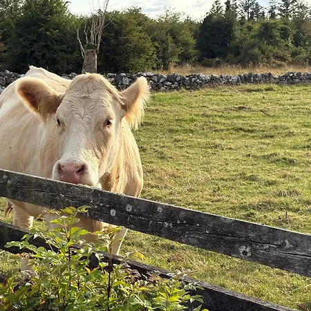Casa vacanze Ballyforan 5br Galway Roscommon